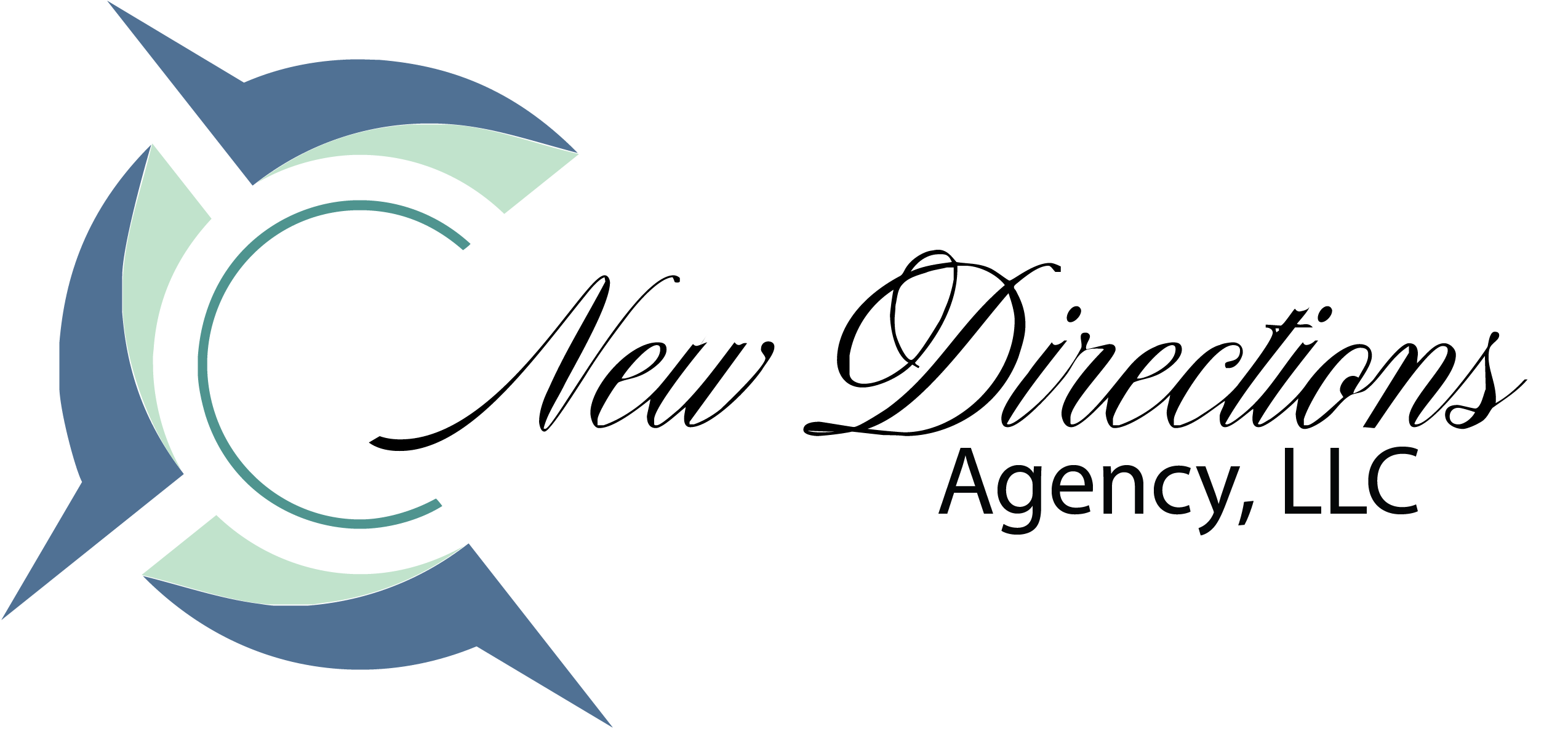 New Directions Insurance